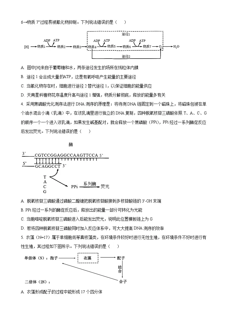 山东省枣庄市2024—2025学年高三下学期二模考试生物试题 Word版无答案第2页