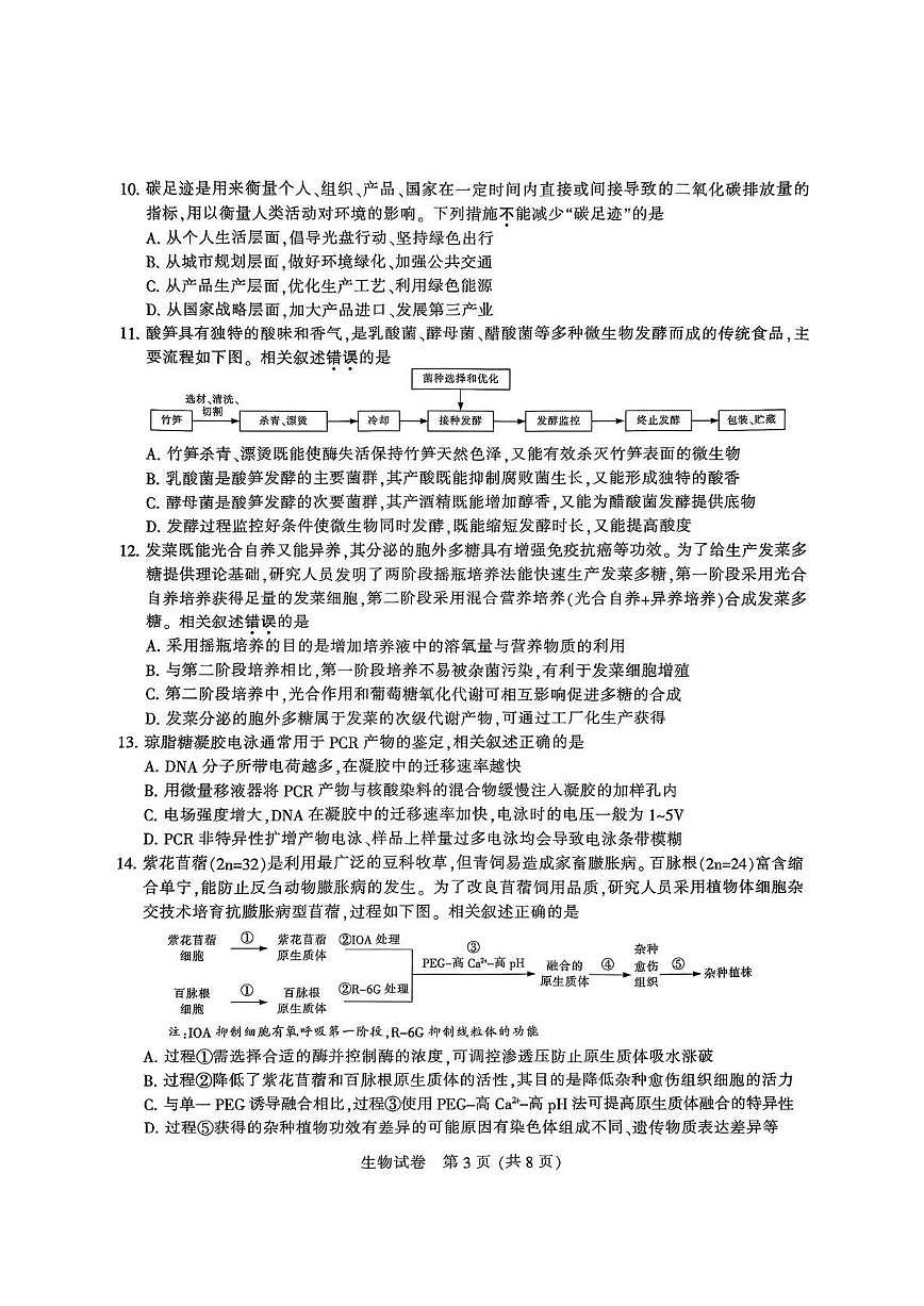 江苏省苏北八市2025届高三下学期5月三模试题（南通、泰州、扬州、徐州、连云港、淮安、宿迁、盐城） 生物 PDF版含答案第3页