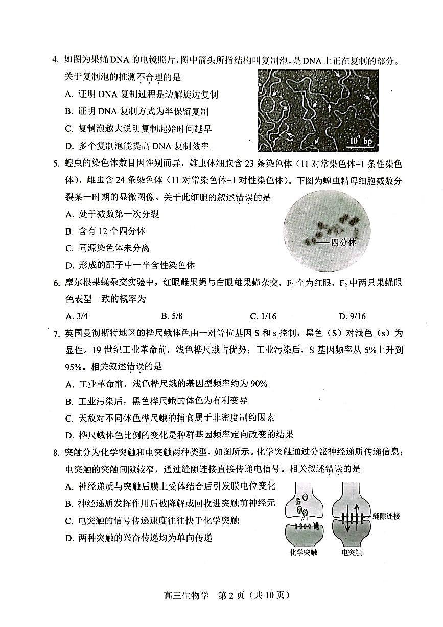 2025届北京市丰台区高三二模 生物试题及答案第2页