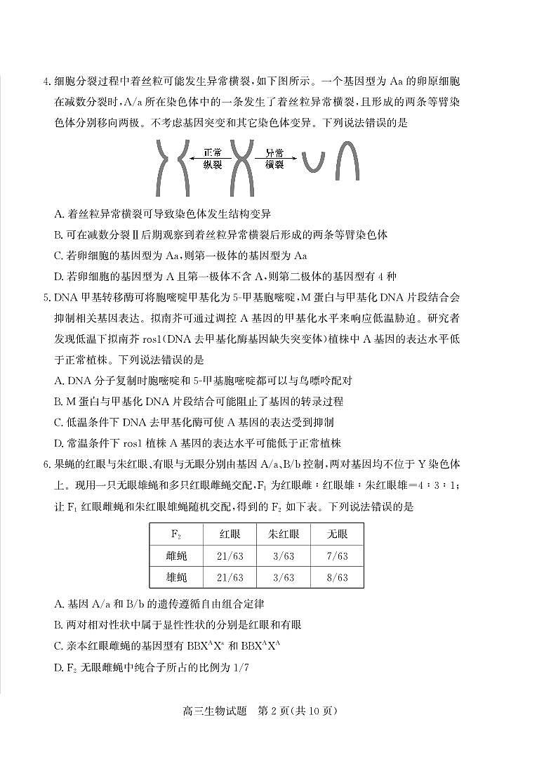 2025届山东省烟台、德州、临沂、东营四市高三二模 生物试题及答案第2页