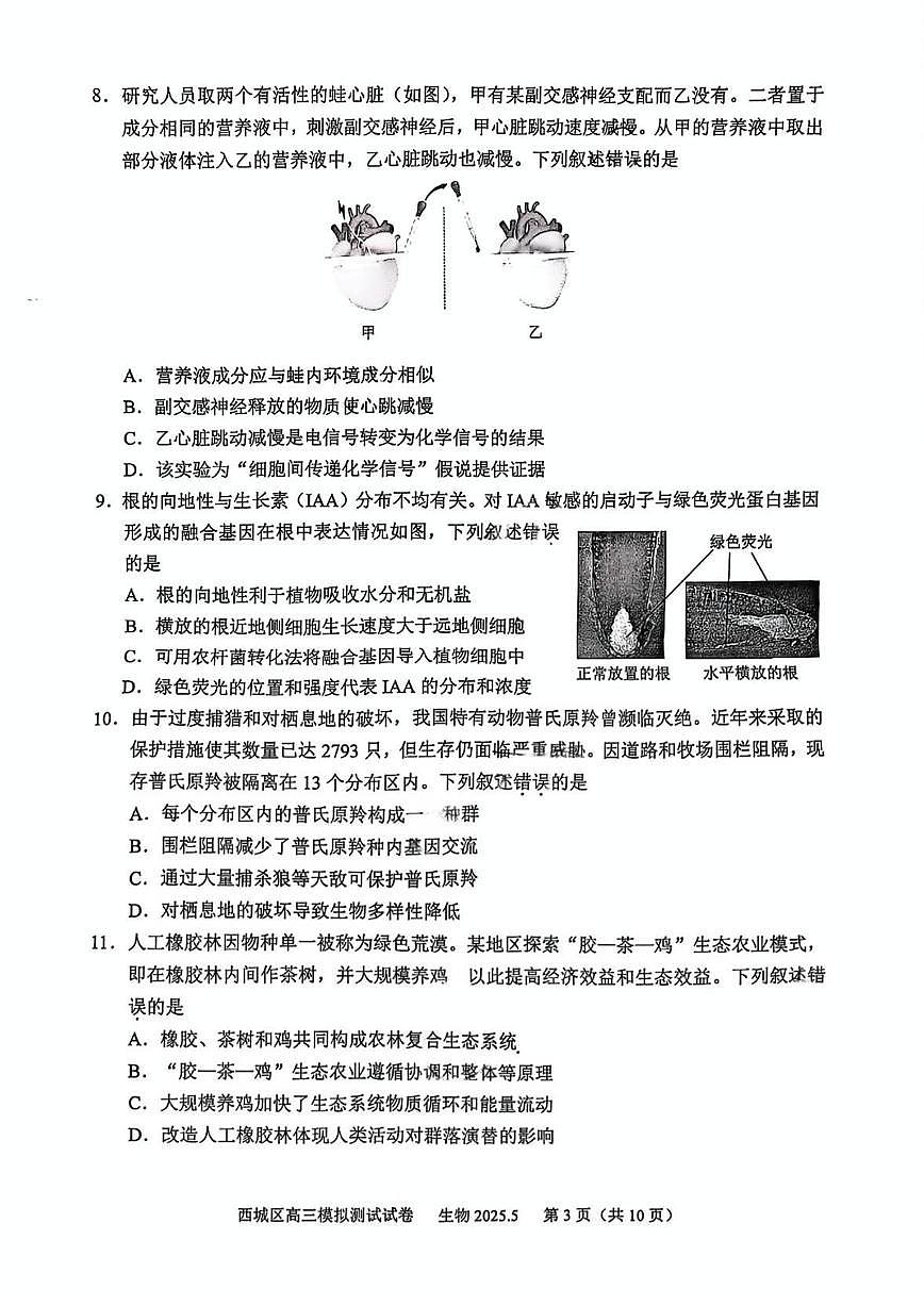 2025北京西城高三二模[高考模拟]生物试卷第3页