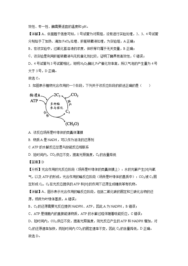 贵州省2024-2025学年高一下学期第一次月考生物试卷（解析版）第2页