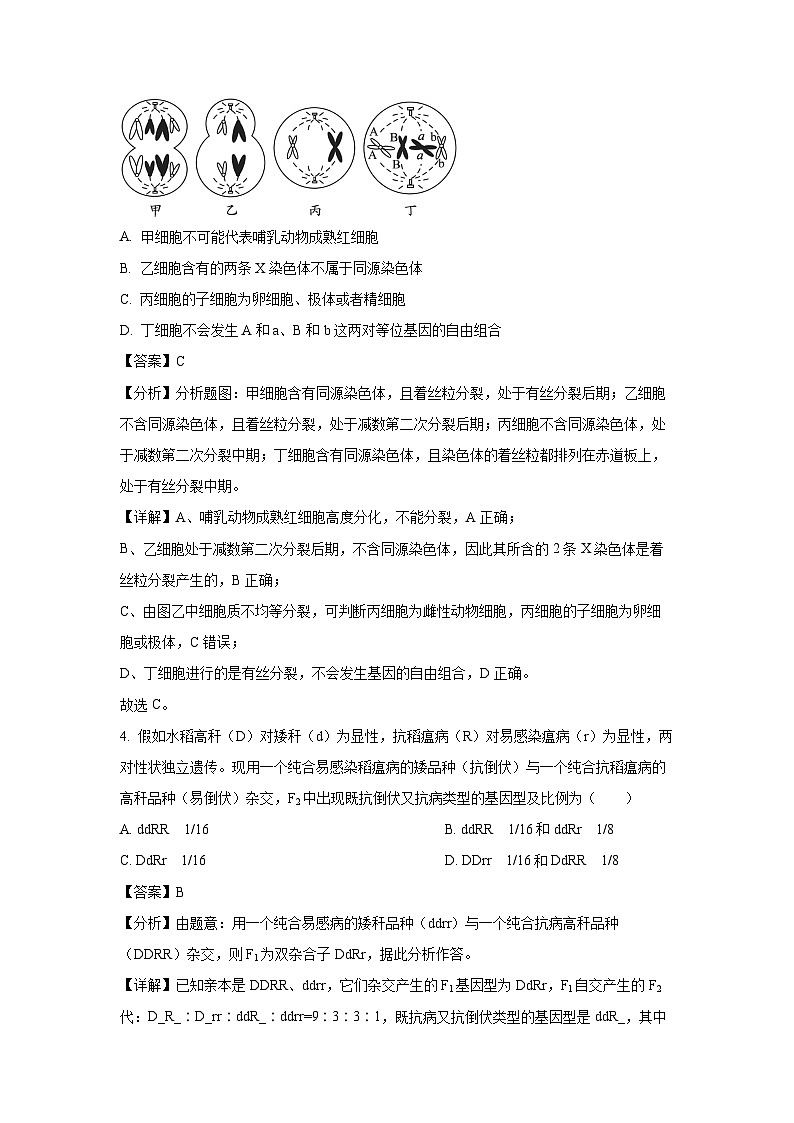 甘肃省兰州市2023-2024学年高一下学期期末考试模拟生物试卷（解析版）第2页