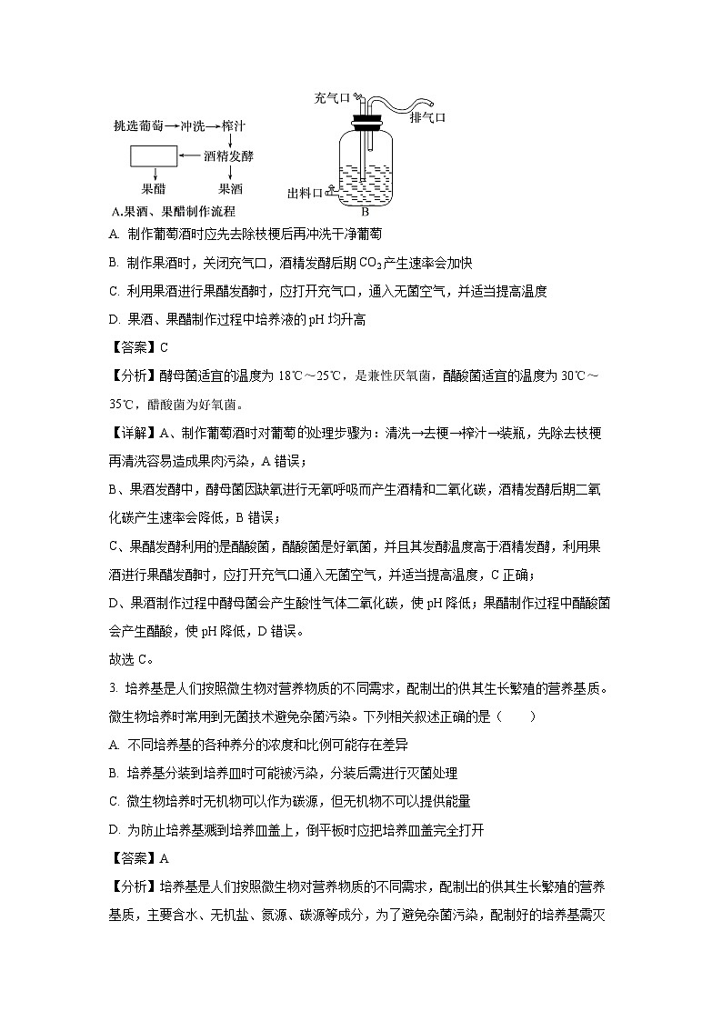 河南省商丘市九师联盟期2024-2025学年高二下学期4月期中生物试卷（解析版）第2页