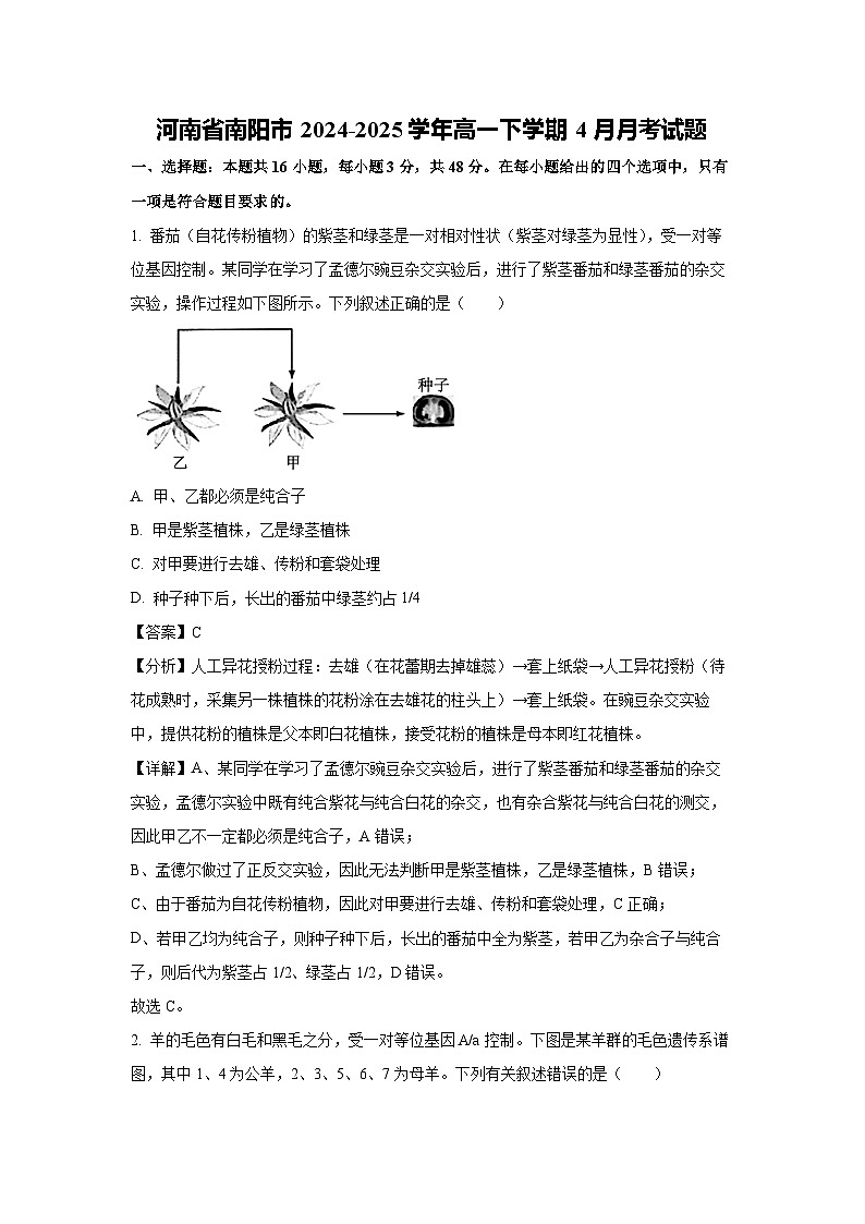 河南省南阳市2024-2025学年高一下学期4月月考生物试卷（解析版）第1页