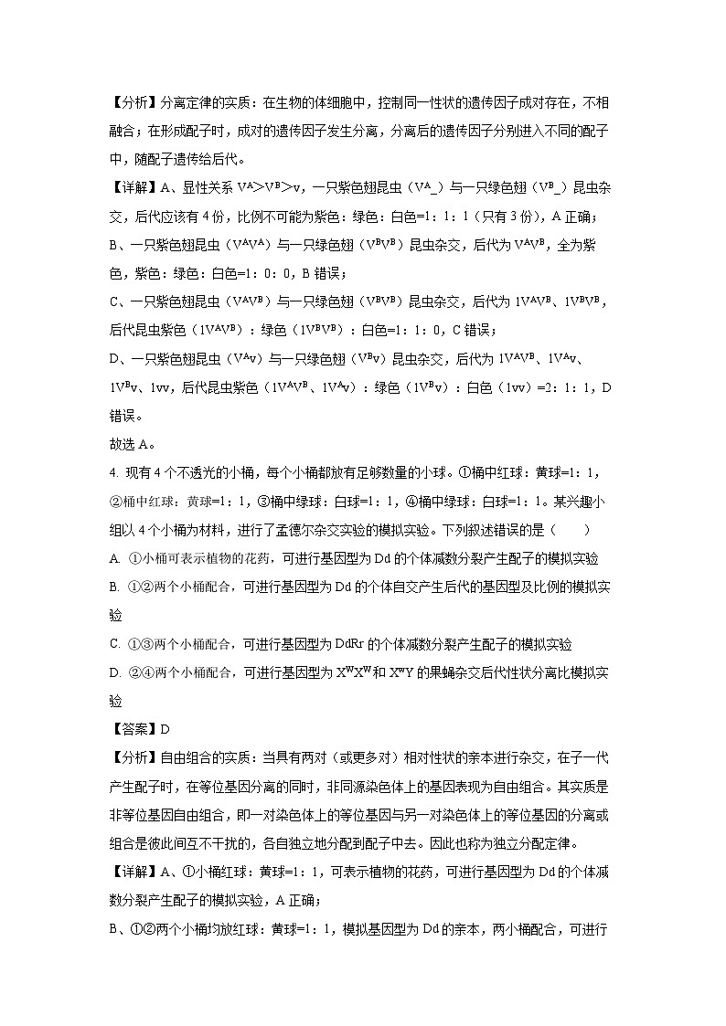 河南省南阳市2024-2025学年高一下学期4月月考生物试卷（解析版）第3页