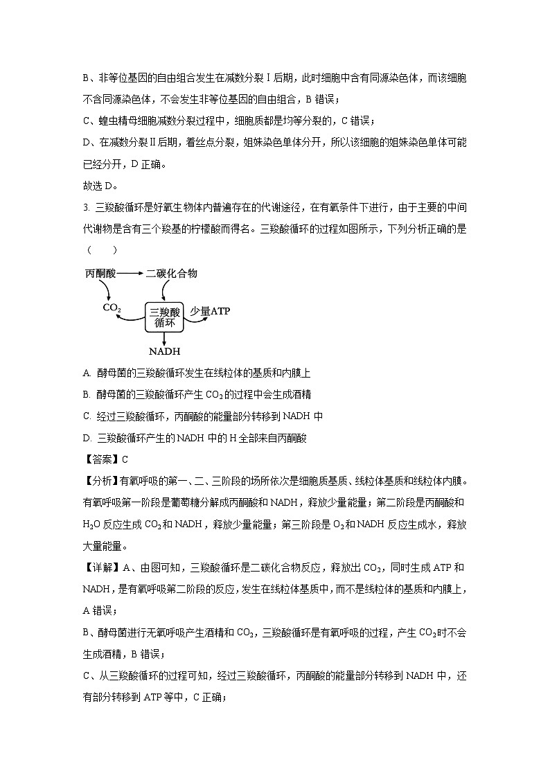 陕西省汉中市2025届高考二模[高考模拟]生物试卷（解析版）第3页