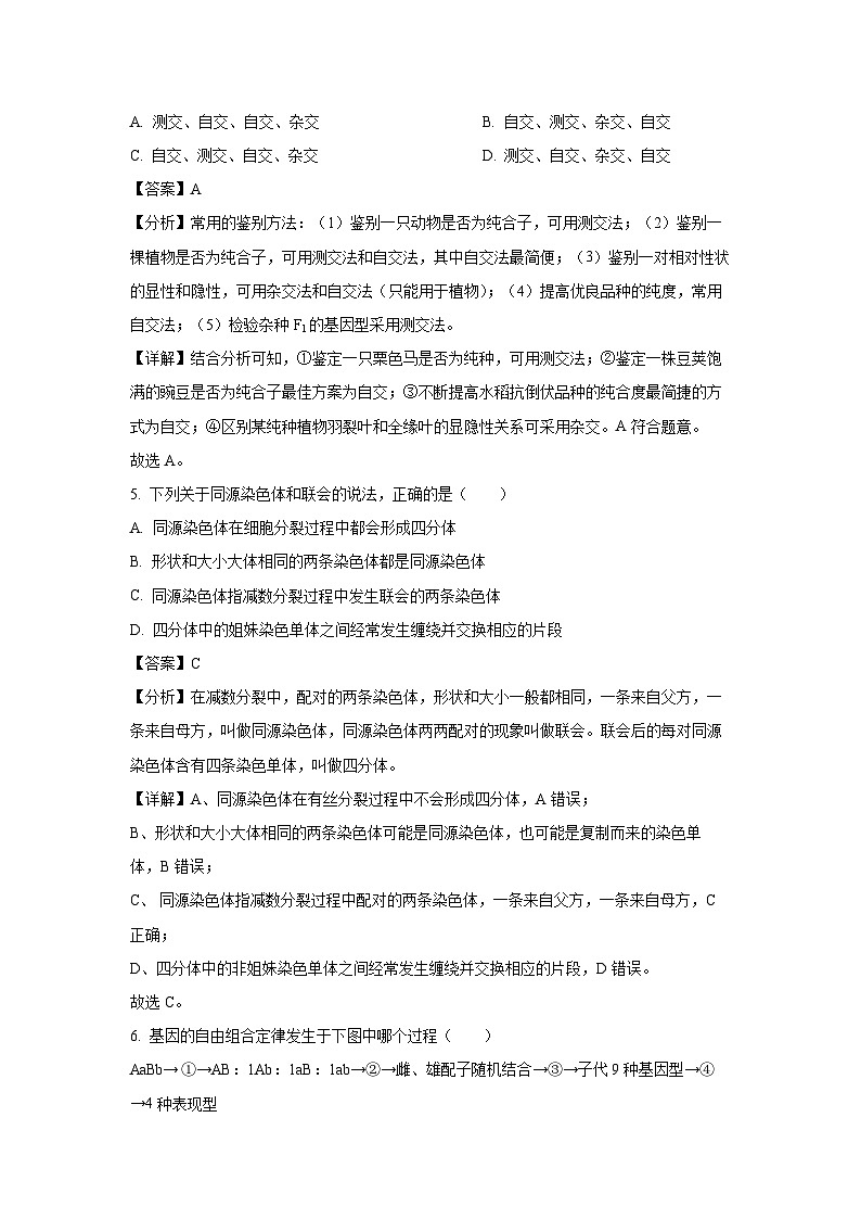 辽宁省鞍山市2024-2025学年高一下学期月考生物试卷（解析版）第3页