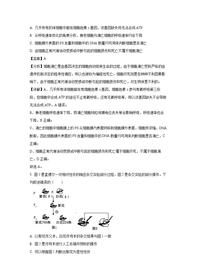 辽宁省百师联盟2024-2025学年高一下学期4月月考生物试卷（解析版）第3页
