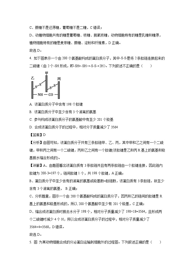 江西省赣州市大余县部分学校联考2024-2025学年高一下学期4月期中生物试卷（解析版）第3页