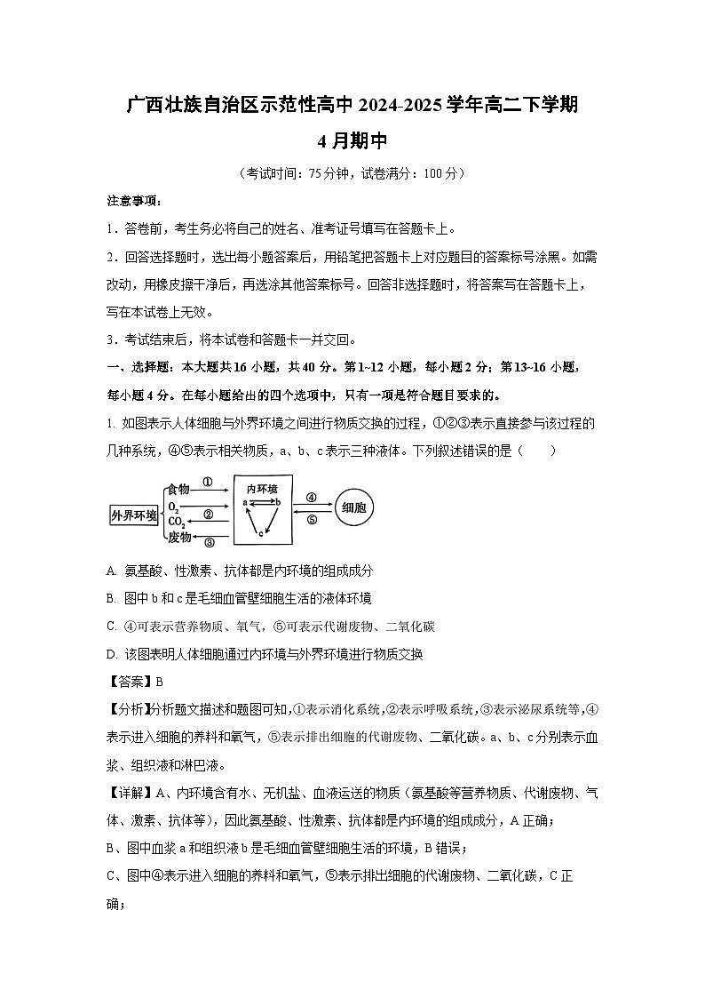 广西壮族自治区示范性高中2024-2025学年高二下学期4月期中 (1)生物试卷（解析版）第1页