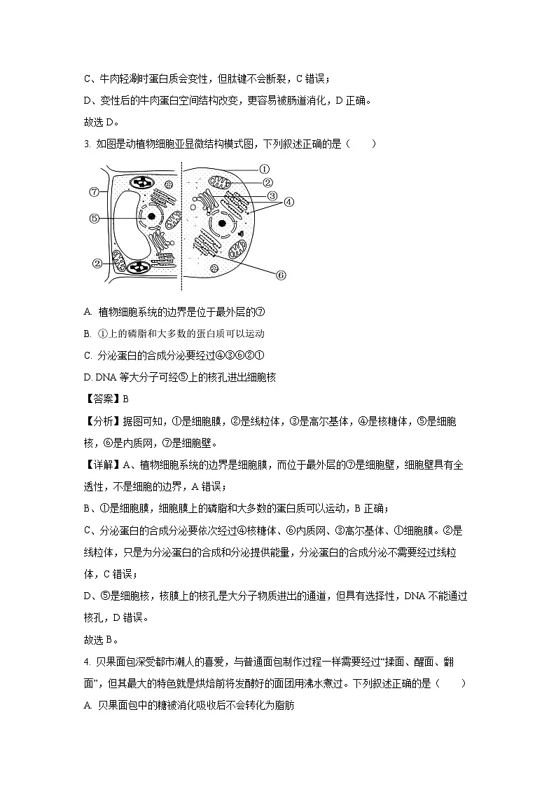 广东省汕头市2023-2024学年高一下学期期末考试生物试卷（解析版）第2页
