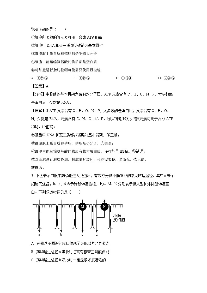 2025届广东省惠州市高考二模生物试卷（解析版）第2页