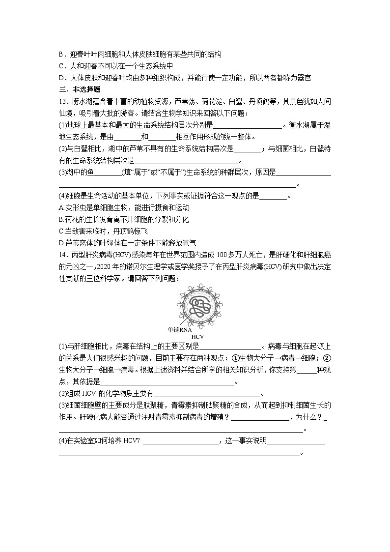 高中人教版生物必修1同步作业及答案-第一章第一节 细胞是生命活动的基本单位第3页