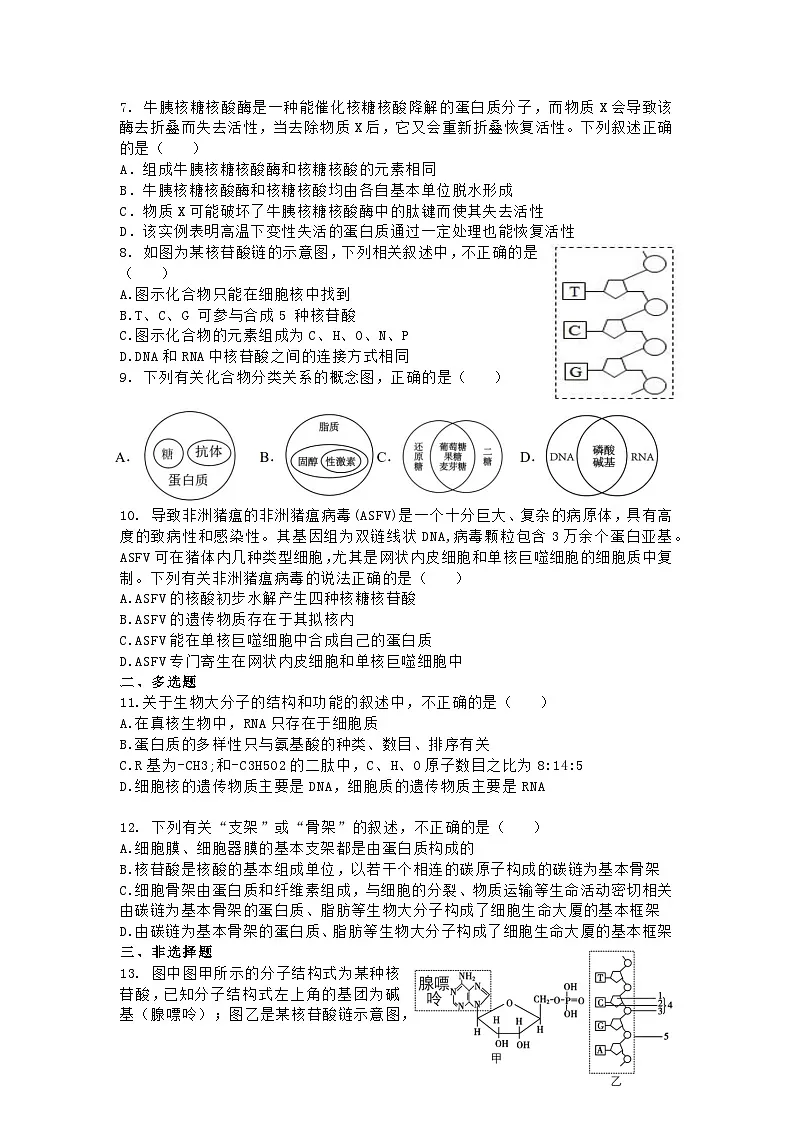 高中人教版生物必修1同步作业及答案-第二章 第五节 核酸是遗传信息的携带者第2页