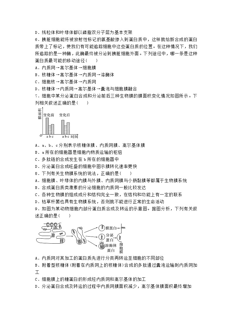 高中人教版生物必修1同步作业及答案-第三章 第二节 细胞器之间的分工合作第2页