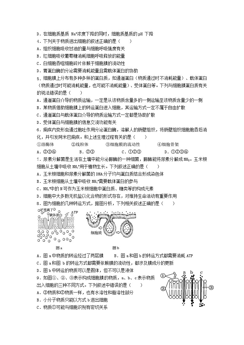 高中人教版生物必修1同步作业及答案-第四章 第二节主动运输与胞吞、胞吐第2页