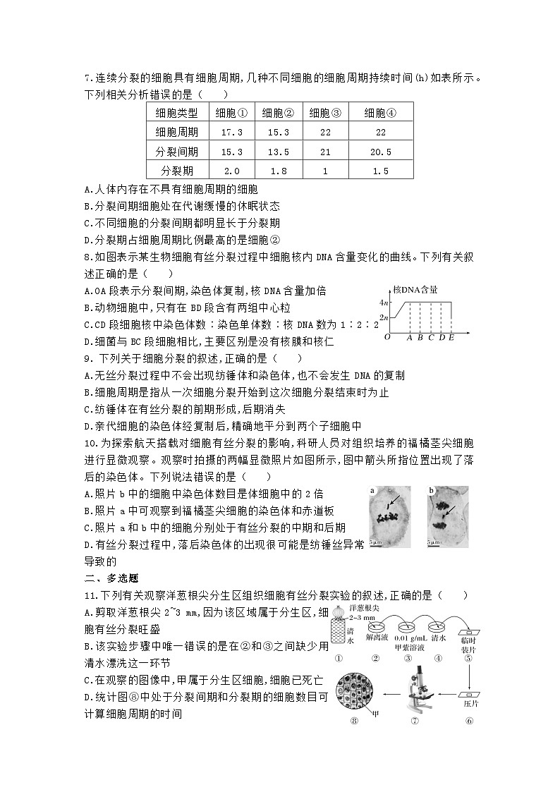 高中人教版生物必修1同步作业及答案-第六章第一节 细胞的增殖第2页