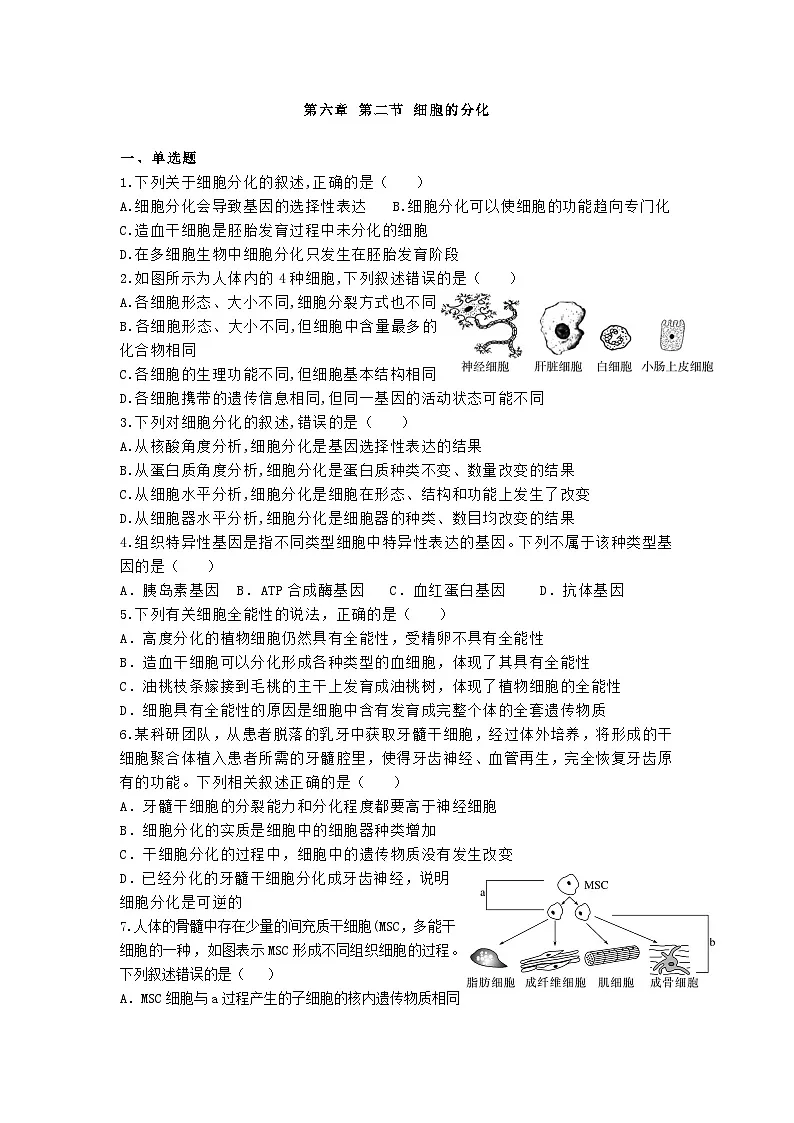 高中人教版生物必修1同步作业及答案-第六章第二节 细胞的分化第1页