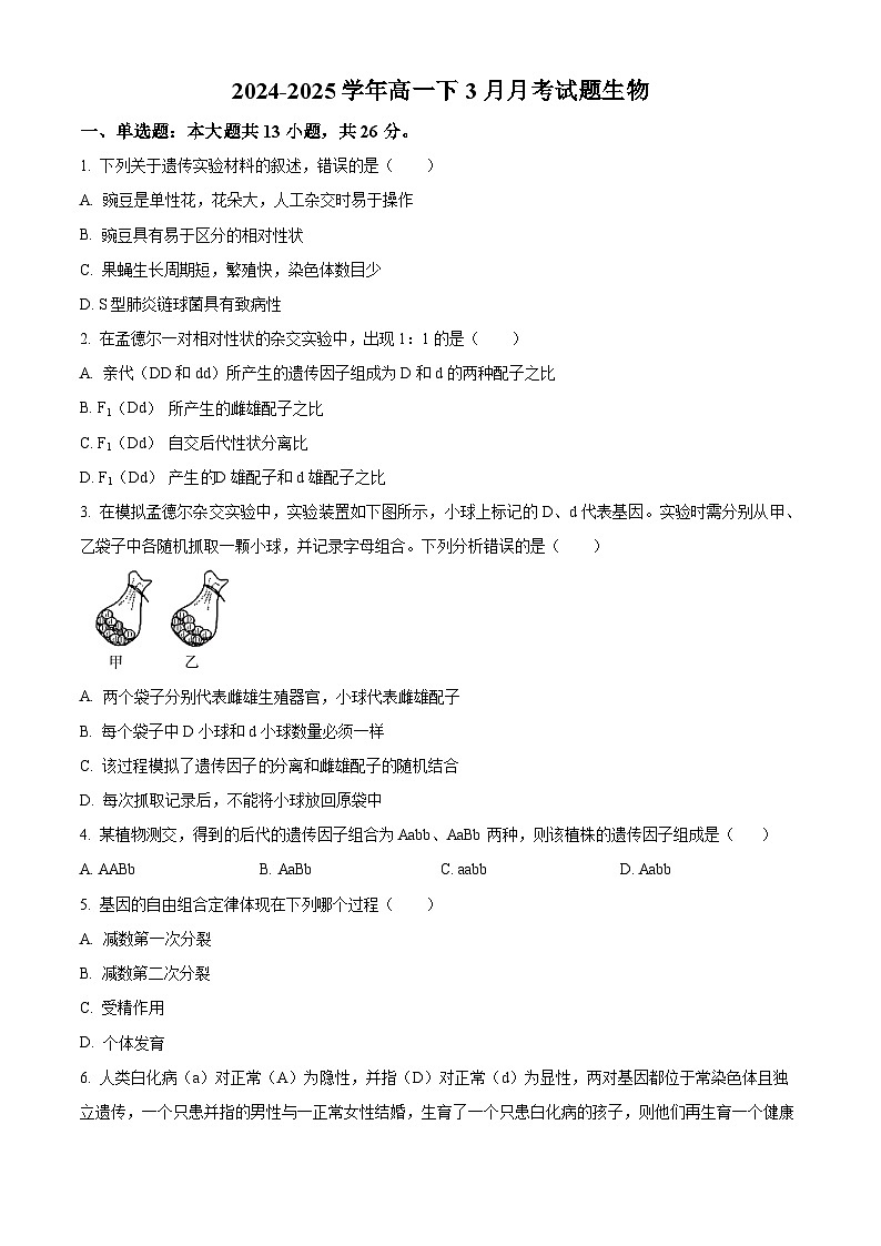 河北省沧州市肃宁县肃宁县第一中学2024-2025学年高一下学期3月月考生物试题（原卷版+解析版）第1页
