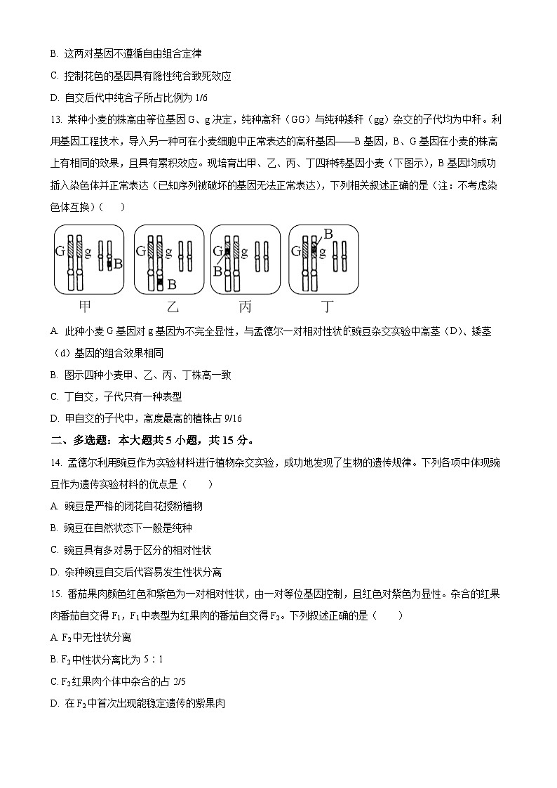 河北省沧州市肃宁县肃宁县第一中学2024-2025学年高一下学期3月月考生物试题（原卷版+解析版）第3页