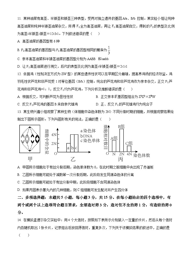 河北省唐县第一中学2024-2025学年高一下学期3月月考生物试题（原卷版+解析版）第3页