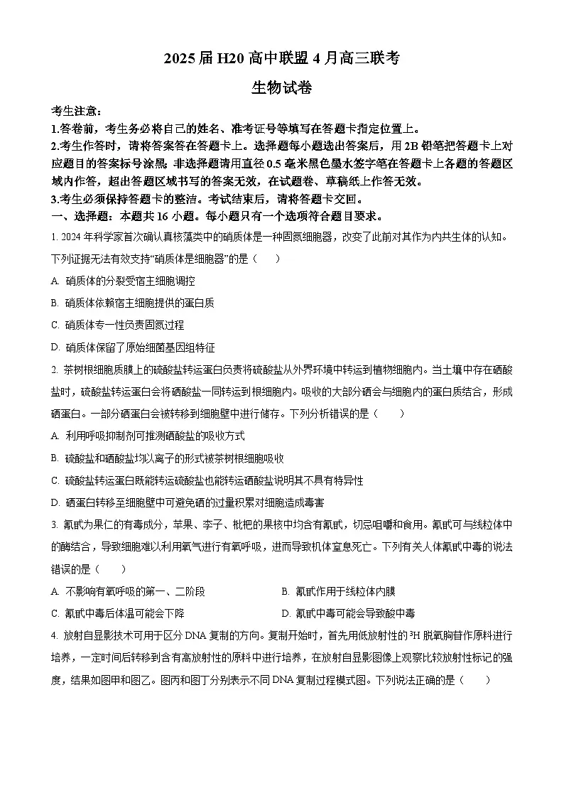 河南省H20高中联盟2024-2025学年高三下学期4月联考生物试卷（原卷版+解析版）第1页