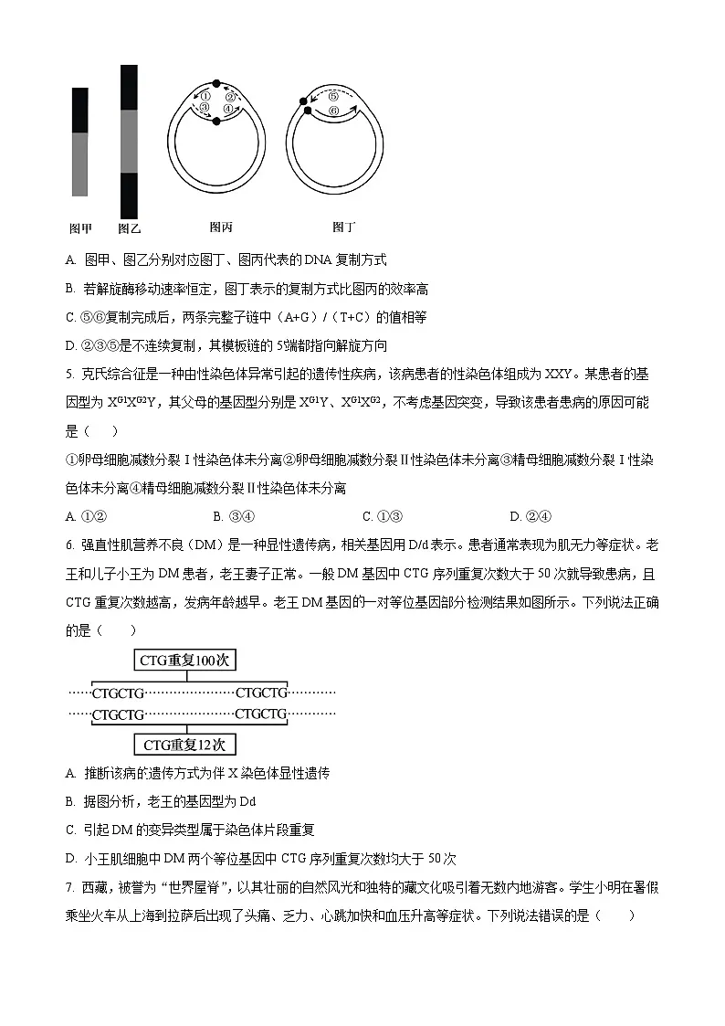 河南省H20高中联盟2024-2025学年高三下学期4月联考生物试卷（原卷版+解析版）第2页