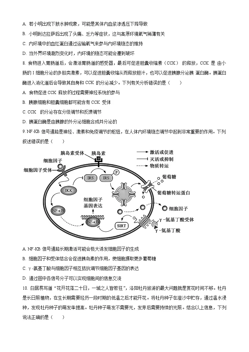 河南省H20高中联盟2024-2025学年高三下学期4月联考生物试卷（原卷版+解析版）第3页