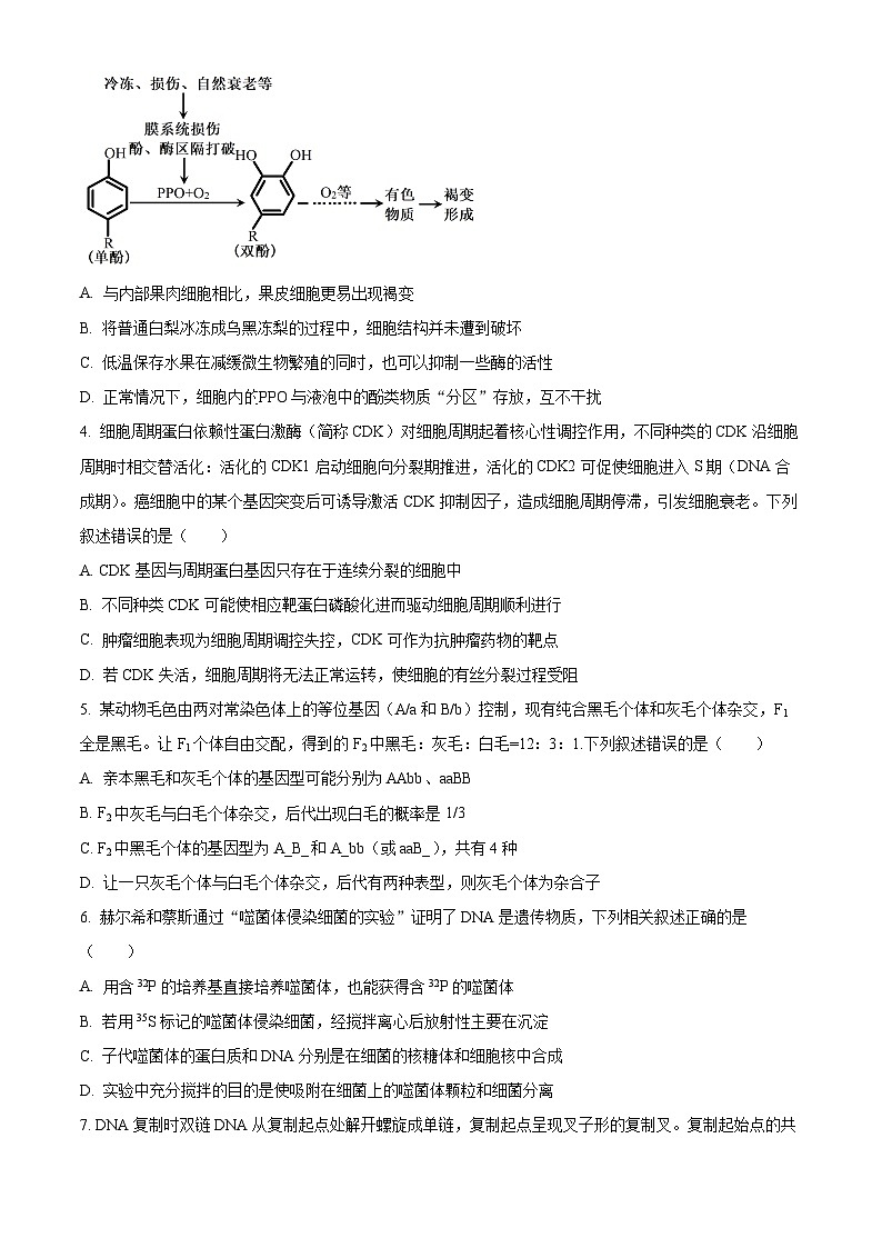 河南省部分名校2024-2025学年高三下学期3月联考生物试题（原卷版+解析版）第2页