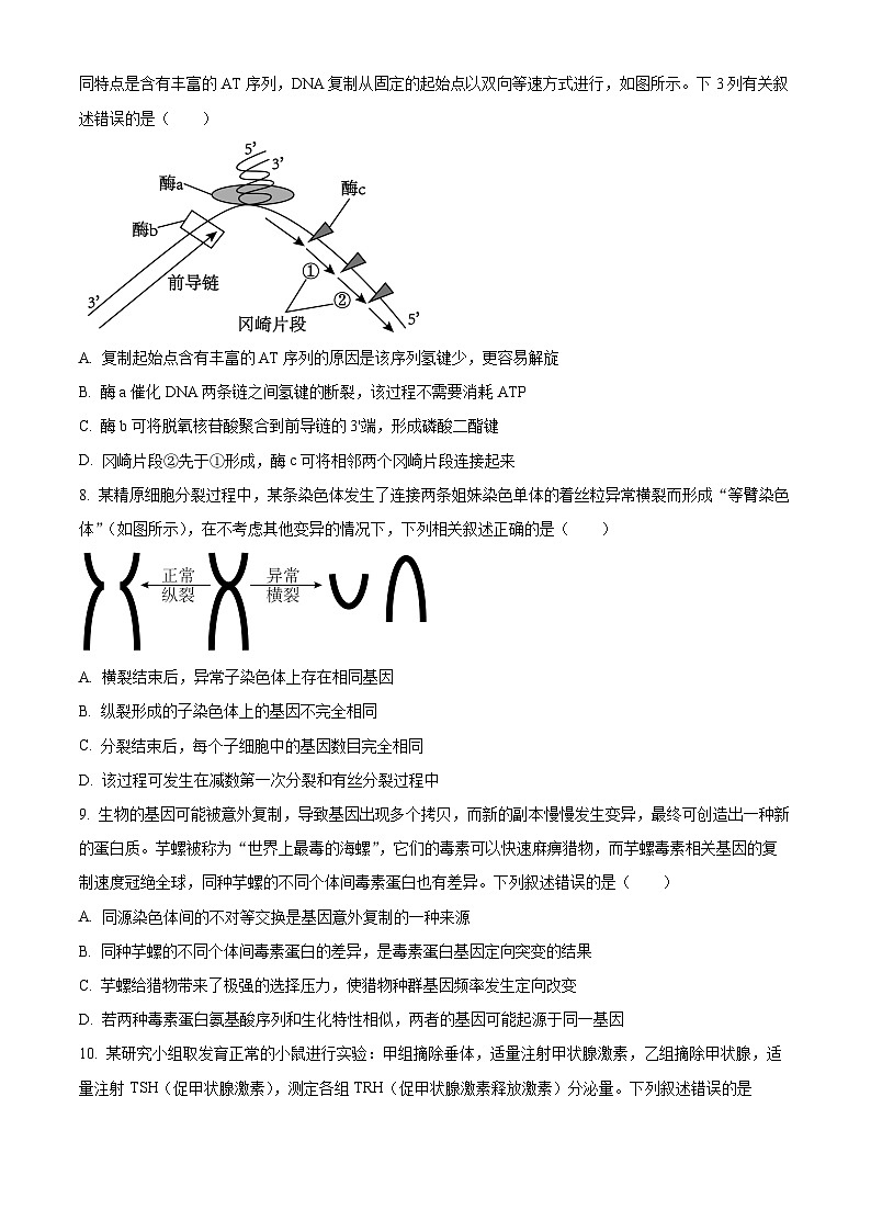 河南省部分名校2024-2025学年高三下学期3月联考生物试题（原卷版+解析版）第3页