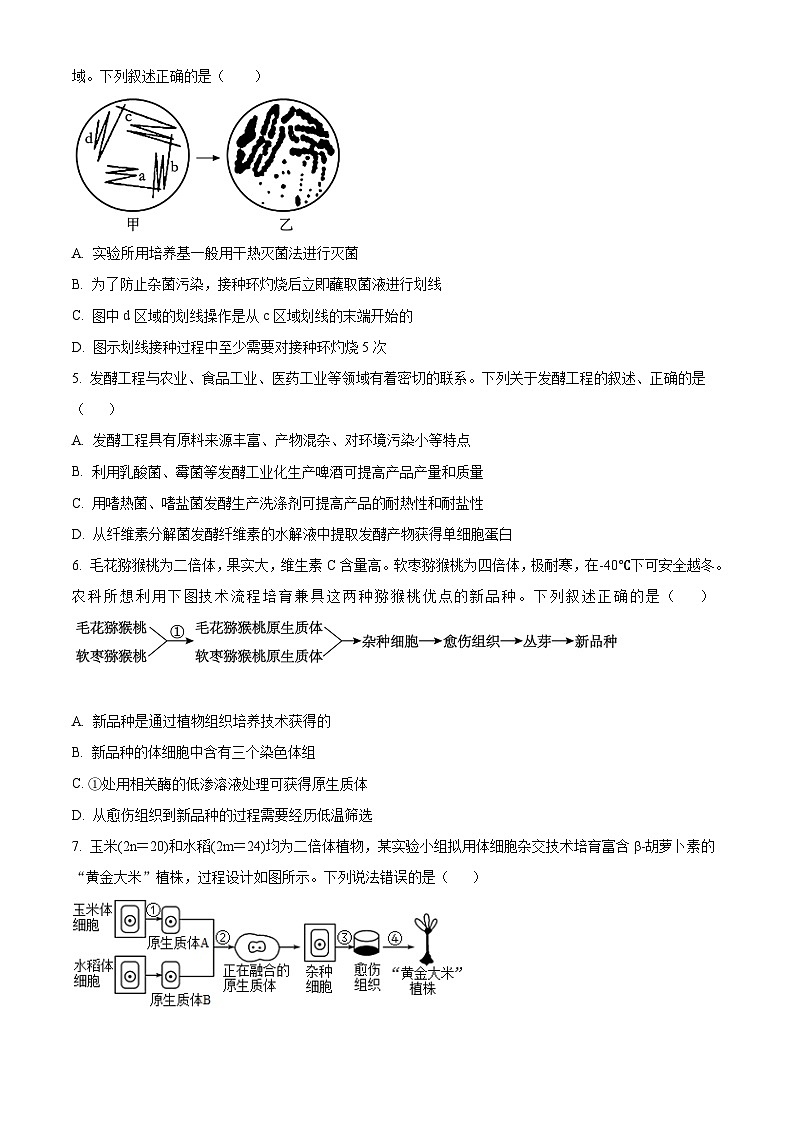 河南省开封市五县联考2024-2025学年高二下学期3月月考生物试题（原卷版+解析版）第2页