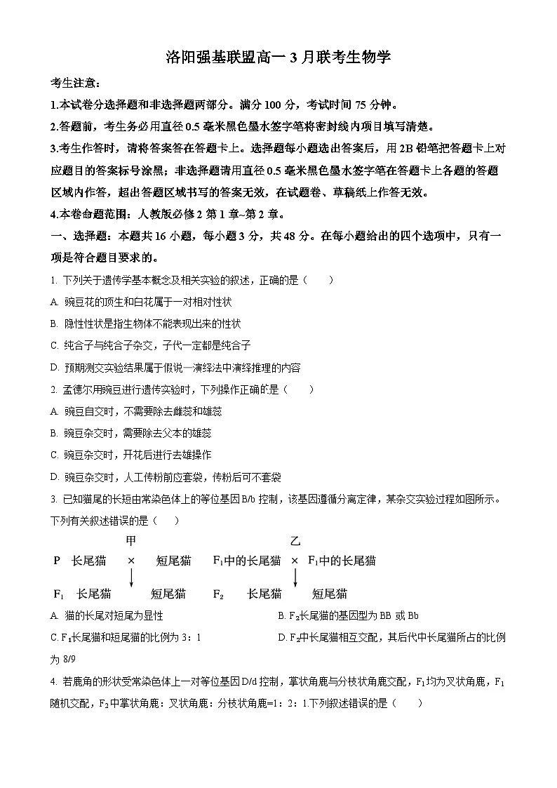 河南省洛阳市强基联盟2024-2025学年高一下学期3月月考生物试题（原卷版+解析版）第1页