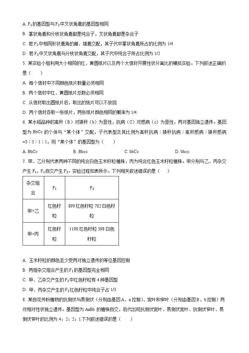 河南省洛阳市强基联盟2024-2025学年高一下学期3月月考生物试题（原卷版+解析版）第2页
