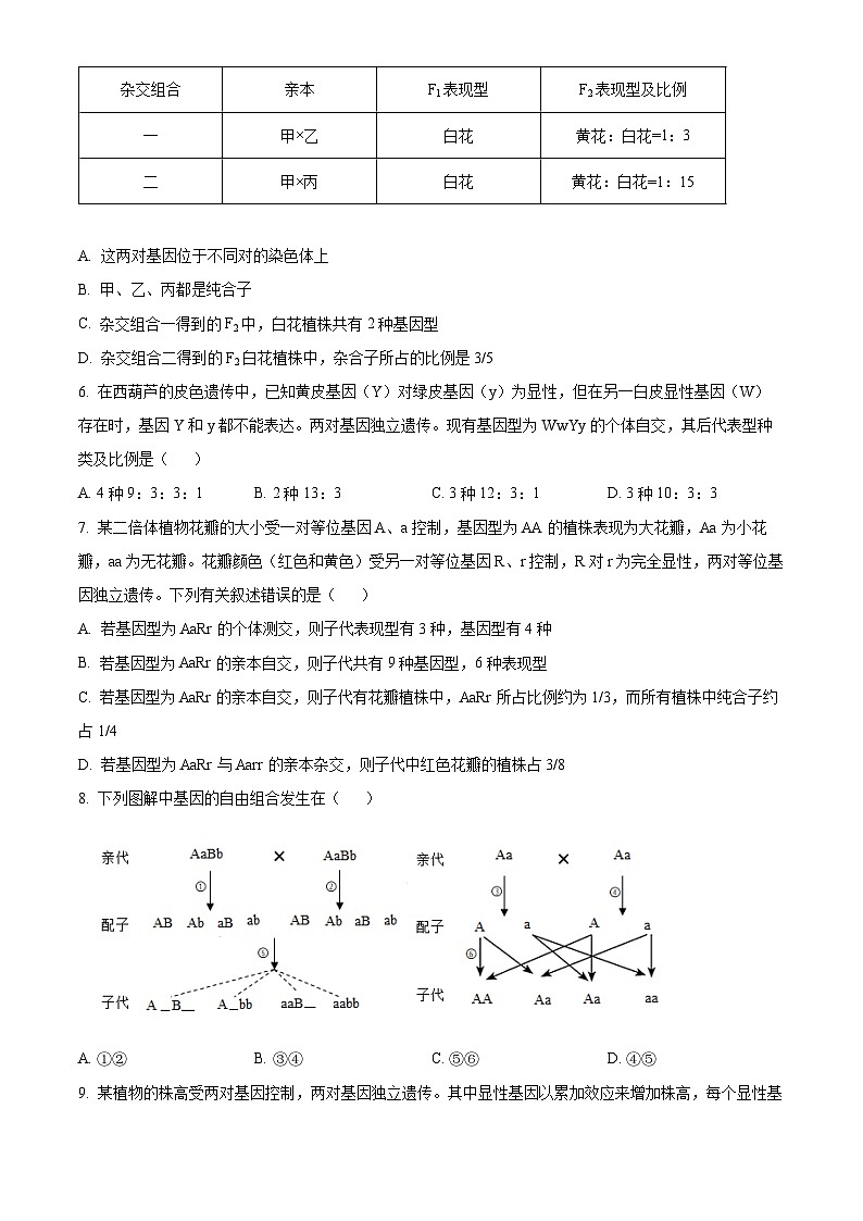 河南省南阳市淅川县第一高级中学2024-2025学年高一下学期3月考评生物试题（原卷版+解析版）第2页