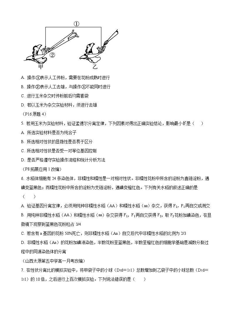 河南省南阳市镇平县第一高级中学2024-2025学年高一下学期第一次月考生物试卷（原卷版+解析版）第2页