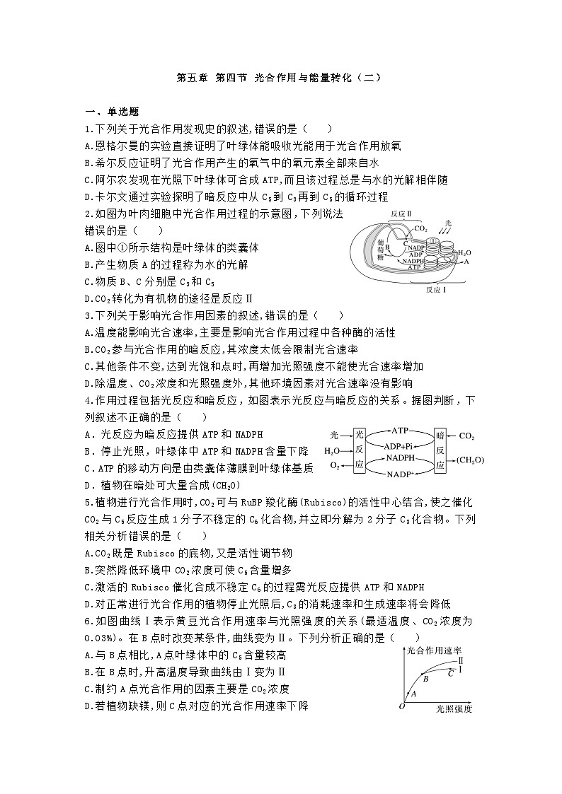 高中人教版生物必修1同步作业及答案-第五章第四节 光合作用与能量转化（二）第1页
