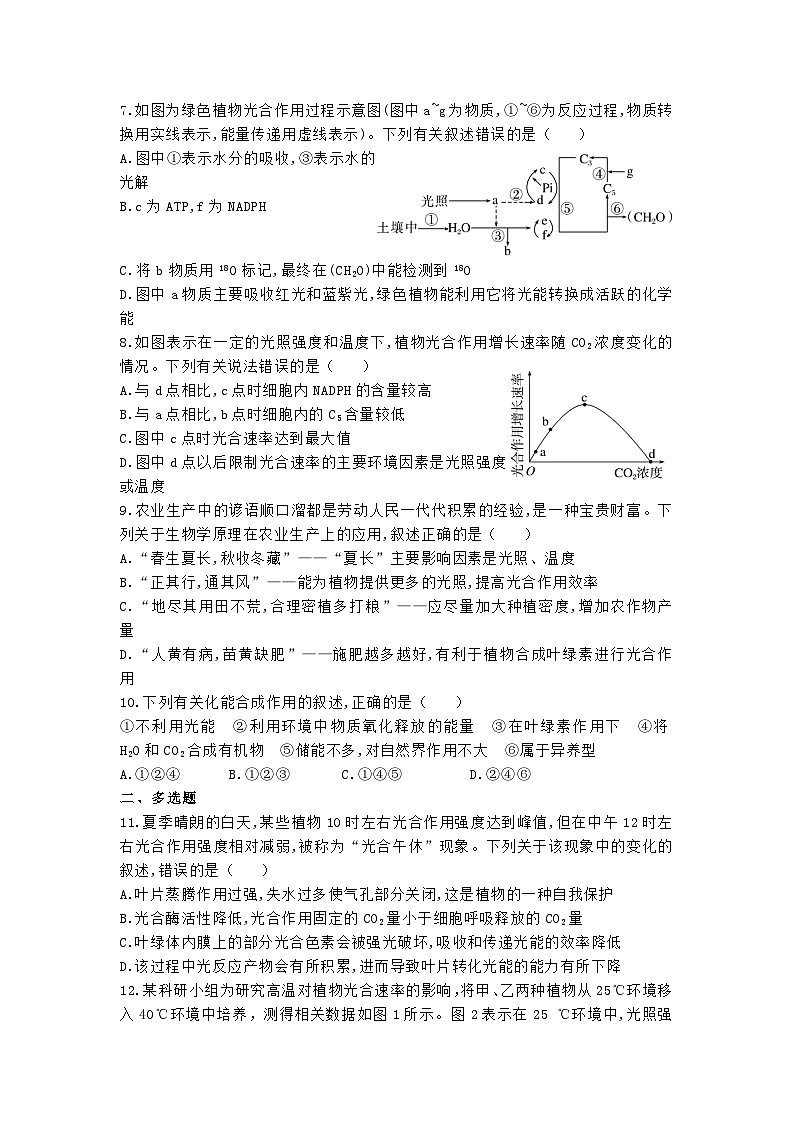 高中人教版生物必修1同步作业及答案-第五章第四节 光合作用与能量转化（二）第2页