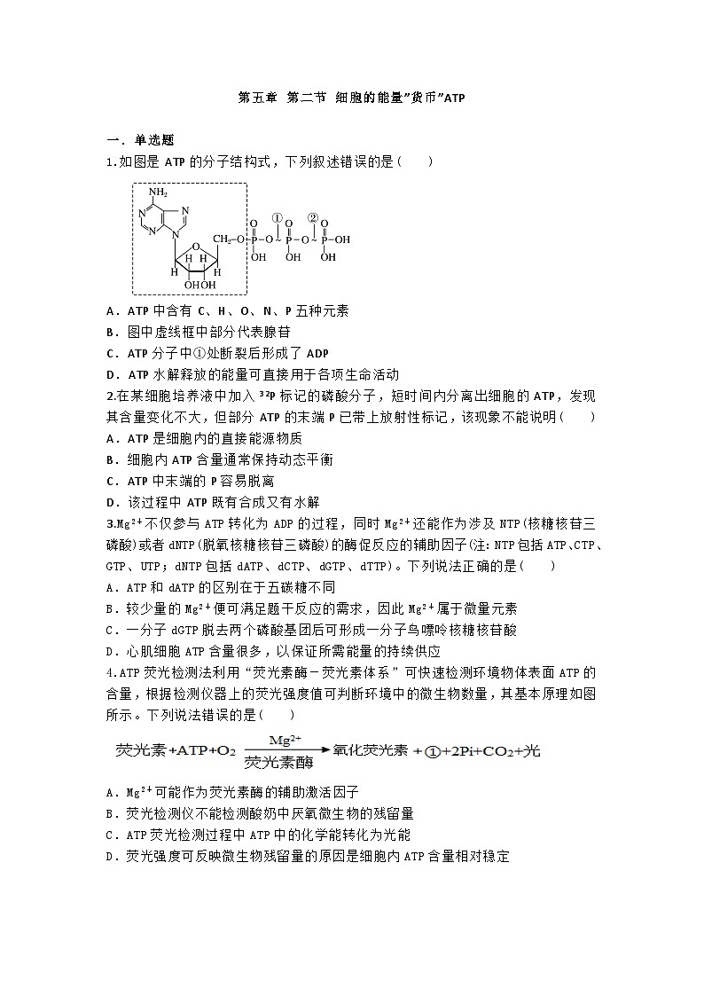 高中人教版生物必修1同步作业及答案-第五章 第二节 细胞的能量”货币”ATP第1页