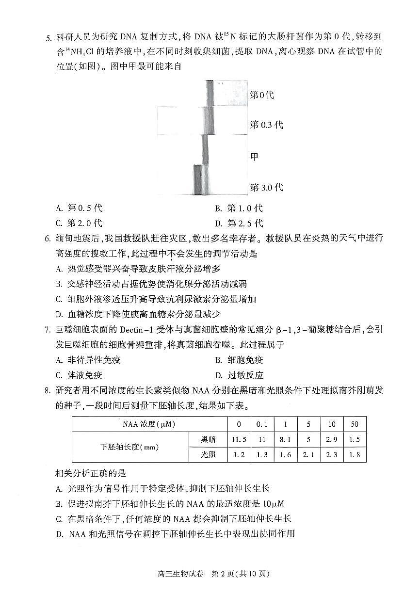2025北京朝阳高三二模生物试题及答案第2页