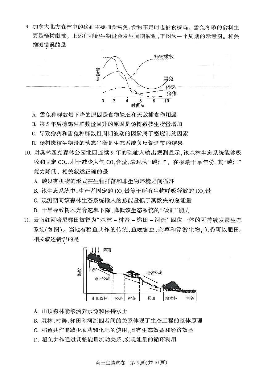 2025北京朝阳高三二模生物试题及答案第3页