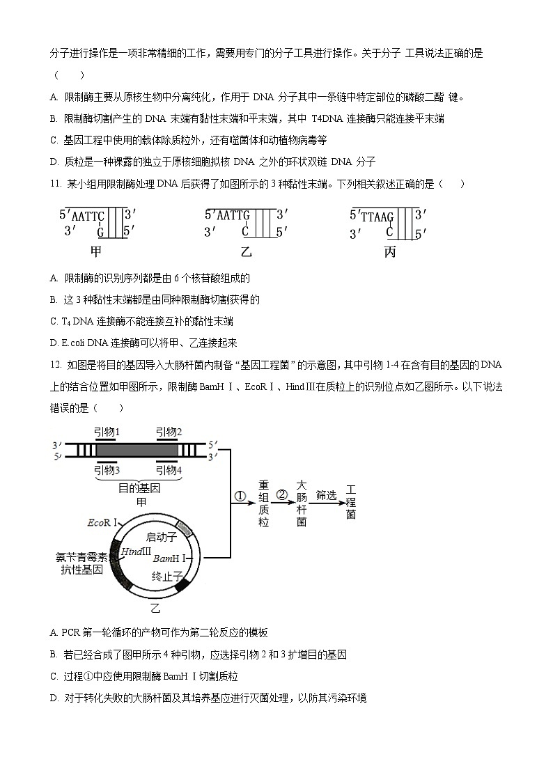 河南省郑州市中牟县第一高级中学2024-2025学年高二下学期3月月考生物试题（原卷版+解析版）第3页
