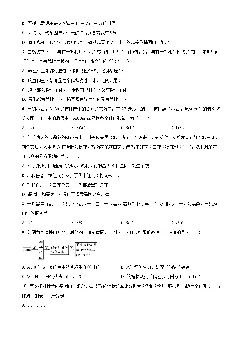 河南省郑州市实验高级中学2024-2025学年高一下学期3月月考生物试题（原卷版+解析版）第2页