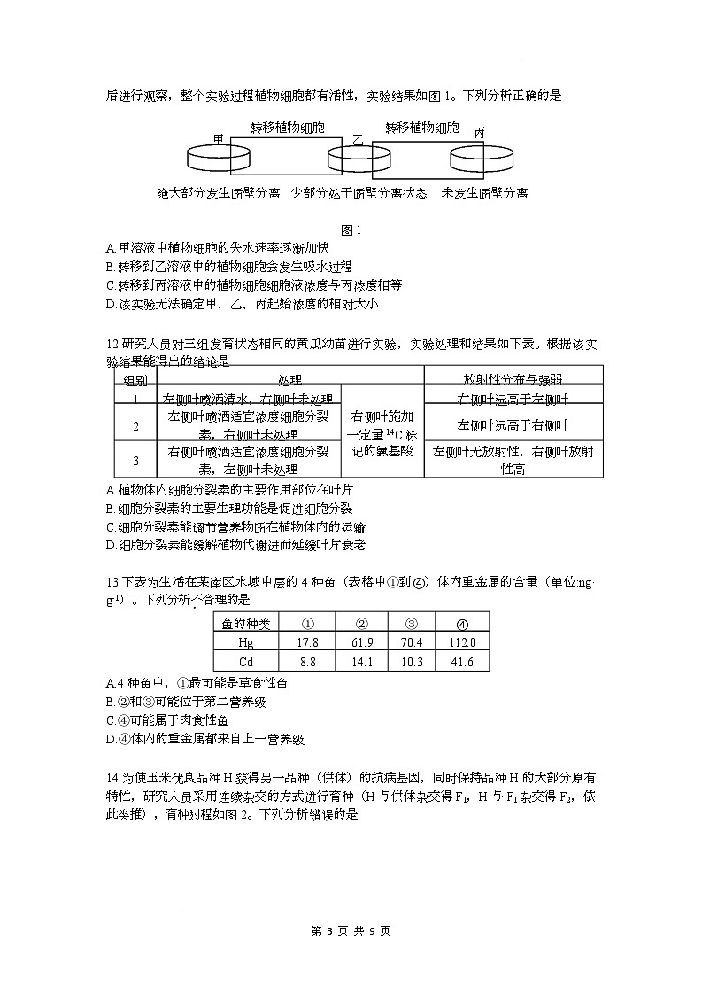 2025届广东省深圳市高三下学期第二次调研考试生物试题第3页