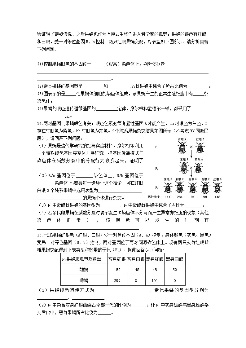 高中人教版生物必修2同步作业及答案-第2章第2节 基因在染色体上第3页