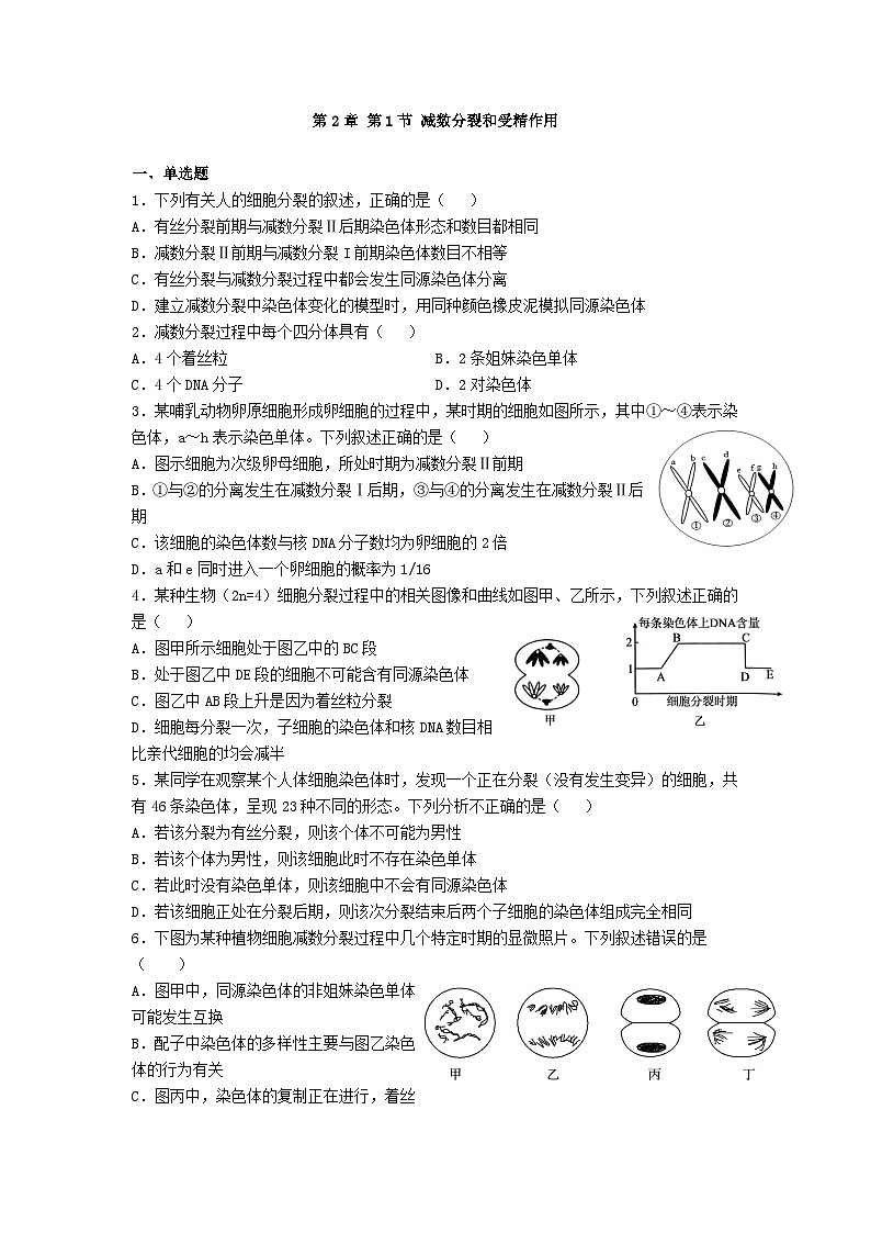 高中人教版生物必修2同步作业及答案-第2章 第1节 减数分裂和受精作用第1页