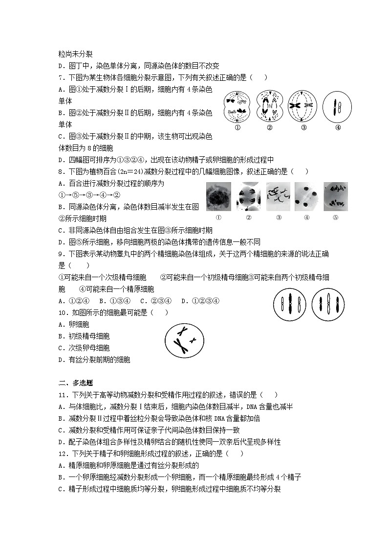 高中人教版生物必修2同步作业及答案-第2章 第1节 减数分裂和受精作用第2页