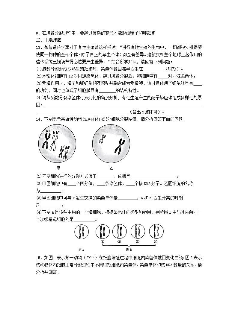 高中人教版生物必修2同步作业及答案-第2章 第1节 减数分裂和受精作用第3页
