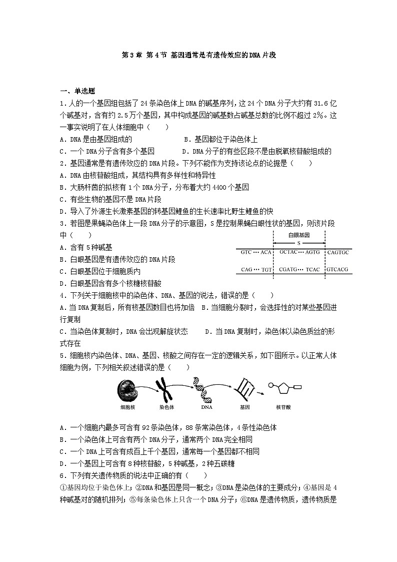 高中人教版生物必修2同步作业及答案-第3章 第4节 基因通常是有遗传效应的DNA片段第1页