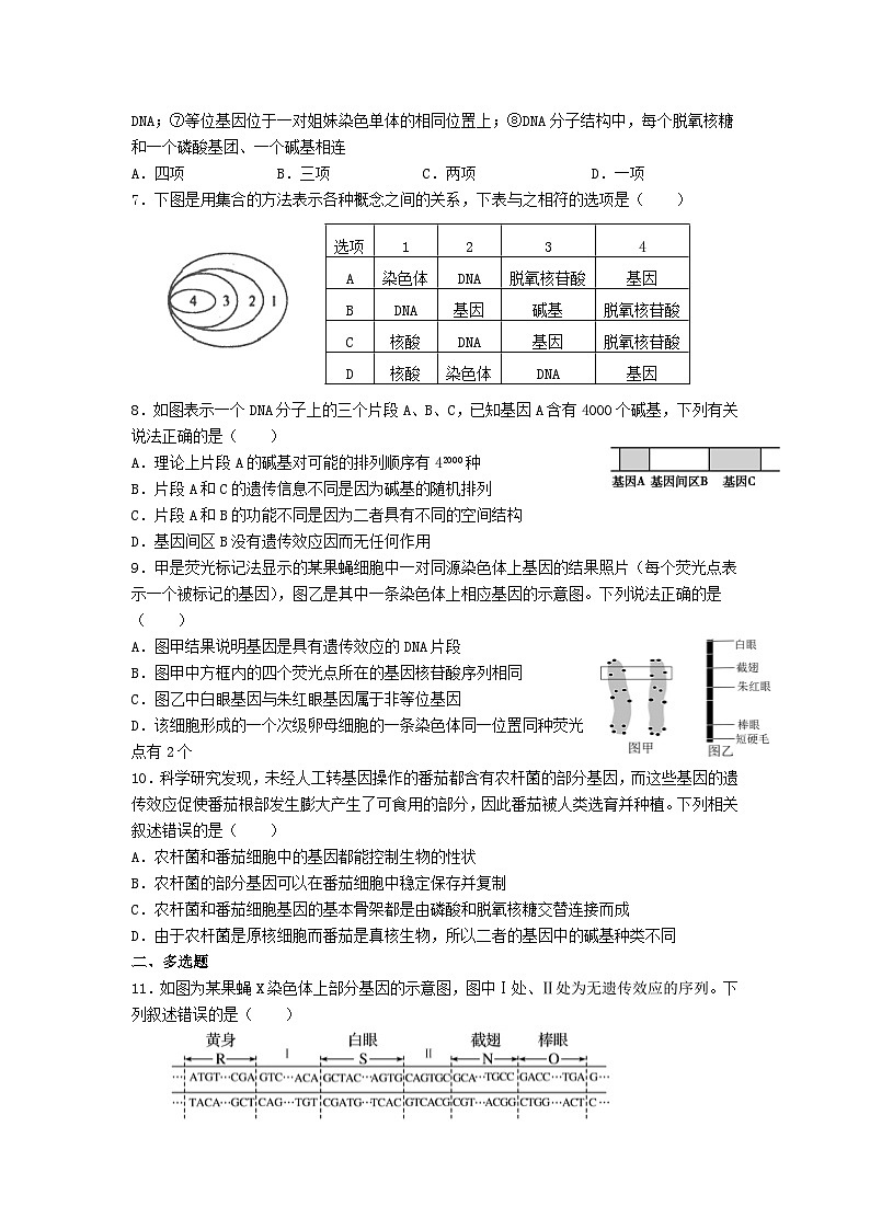 高中人教版生物必修2同步作业及答案-第3章 第4节 基因通常是有遗传效应的DNA片段第2页
